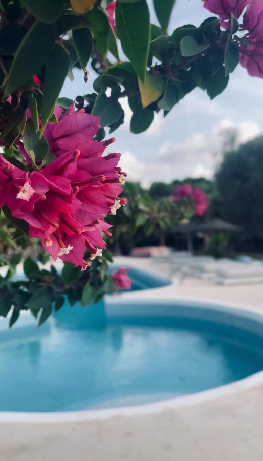 エッサウィラ Out Of Medina Bed & Breakfast エクステリア 写真
