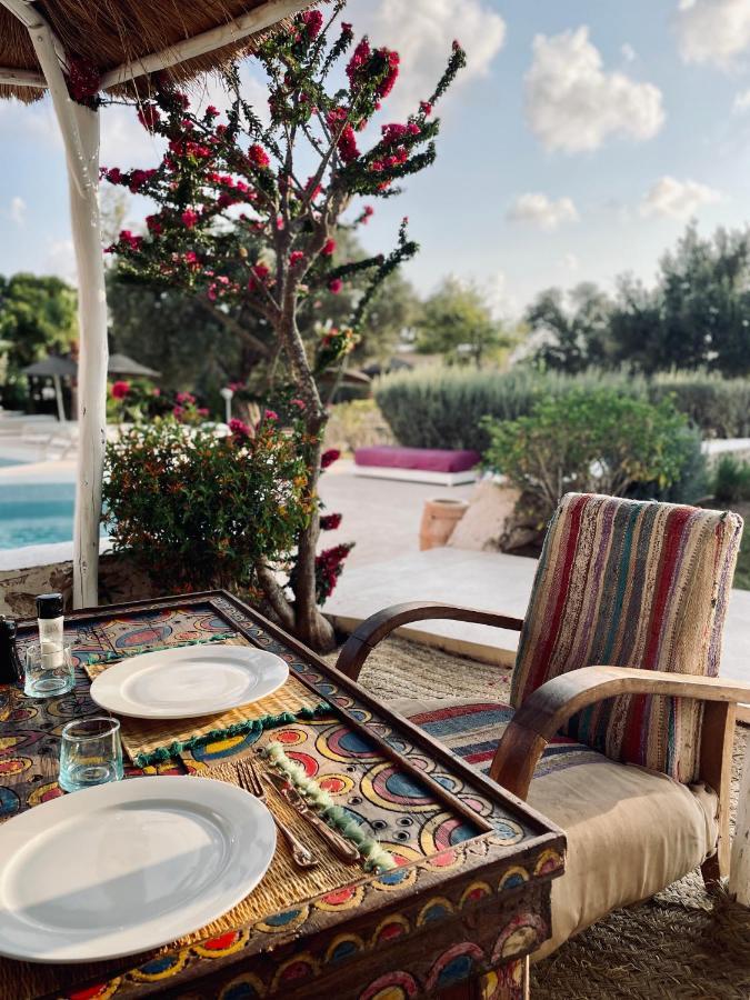 エッサウィラ Out Of Medina Bed & Breakfast エクステリア 写真